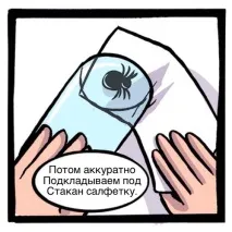 Як позбутися павука вбивати