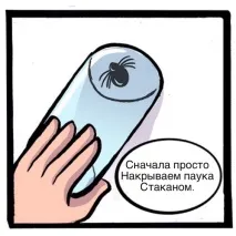 Як позбутися павука вбивати