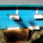 даданівських