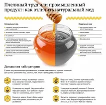 Як відрізнити справжній мед від підробки - 6 найвірніших способів підробки