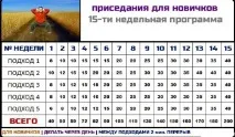 Як правильно робити присідання для сідниць правильно