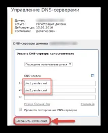 домен