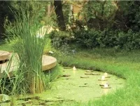Як зробити підсвічування для садового ставка, Питання-Відповідь, Аргументи та Факти підсвічування