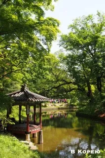 Як самостійно організувати поїздку до Кореї, До Кореї Кореї