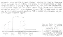 синтеза