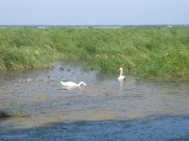 челябінській