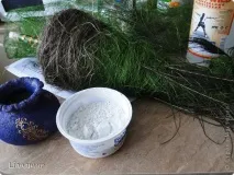 Народження Ялинок, Країна Майстрів зверху