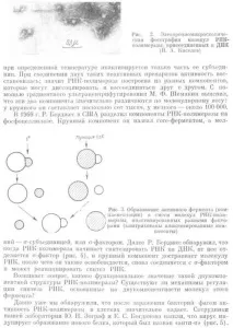 синтеза