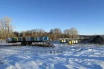 Календар бджоляра на рік календар
