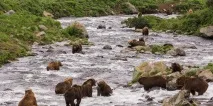 Карта Долини Гейзерів на Камчатці гейзерів