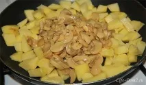 Картопля тушкована з грибами та сметаною. картопля
