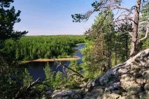 Карельські ліси опис, природа, дерева та цікаві факти карельські