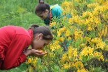 Кавказький Вузол, Свято (Дзуар бон) Дзагоєвих та моління за Алана вузол