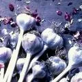 Ковбаса () 6 букв - пошук слів за маскою та визначенням, відповіді насканворд слів
