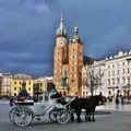 Ковбаса () 6 букв - пошук слів за маскою та визначенням, відповіді насканворд букв