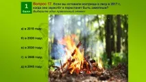 Коли заросте вогнищезалишене у 2017 році коли