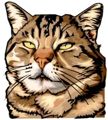 Котяча мова мова