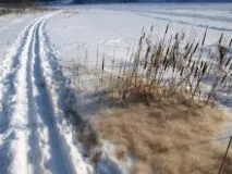Лижні мазі, Компас туриста компас