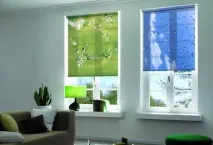 штори