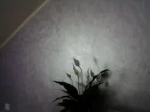 Сабуладор Софт SOFT