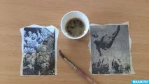 педагогів