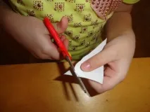 Майстер-клас «Перелітний птах «Грач» майстер-клас