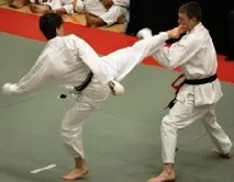 Світ карате Карате - це WKF Питання після інтерв’ю карате