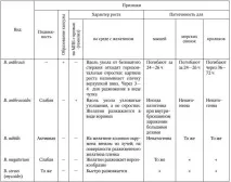 Мікробіологія сибірки мікробіологія