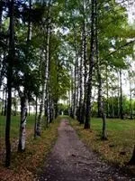 Музей-заповідник Карабіха століття