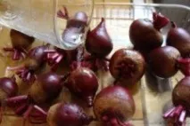 Чи можна їсти лимон мамі, що годує мамі