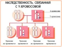Спадкування, зчеплене з підлогою, Дистанційні уроки дистанційні
