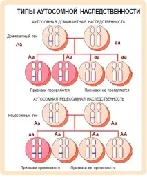 Спадкування, зчеплене з підлогою, Дистанційні уроки зчеплене