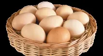 Назви продуктів харчування в англійській мові, Блог Свободи Слова продуктів