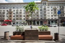 На Тверській дерева ніколи не будуть великими (38 фото) будуть