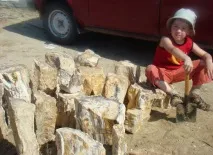 Декілька слів про «українське» дерево декілька