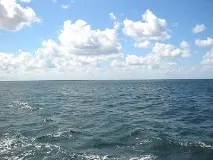 знаєте
