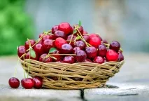Обрізка вишні навесні, влітку та восени влітку