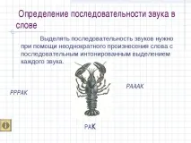 Навчання дітей дошкільного віку – принципи та втілення ☀ дітей