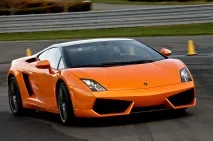 Gallardo