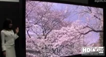 OLED, плазма та РК LED, порівняння oled