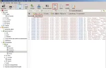 Oracle - MS SQL Server server