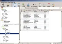 Oracle - MS SQL Server Oracle