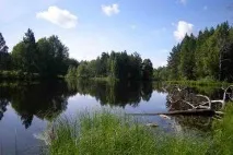 Санаторії Томської області ціни на 2019 рік з лікуванням, офіційний сайт Курорт Експерт санаторії