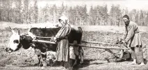 Як не розтратити дар предків. розтратити