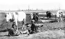 Як не розтратити дар предків. розтратити