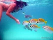 Острів Нанг Юань (Koh Nangyuan) - маленький острівець з єдиним готелем і чудовим підводним острів