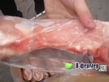 Оцінка м’ясної продуктивності кроликів оцінка