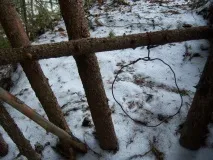 Полювання на зайця петлями полювання