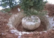 великомірних
