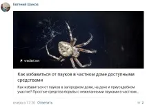 Павук Троїцький сів на 10 місяців за підпалбудинки в Чорногорії підпалбудинки